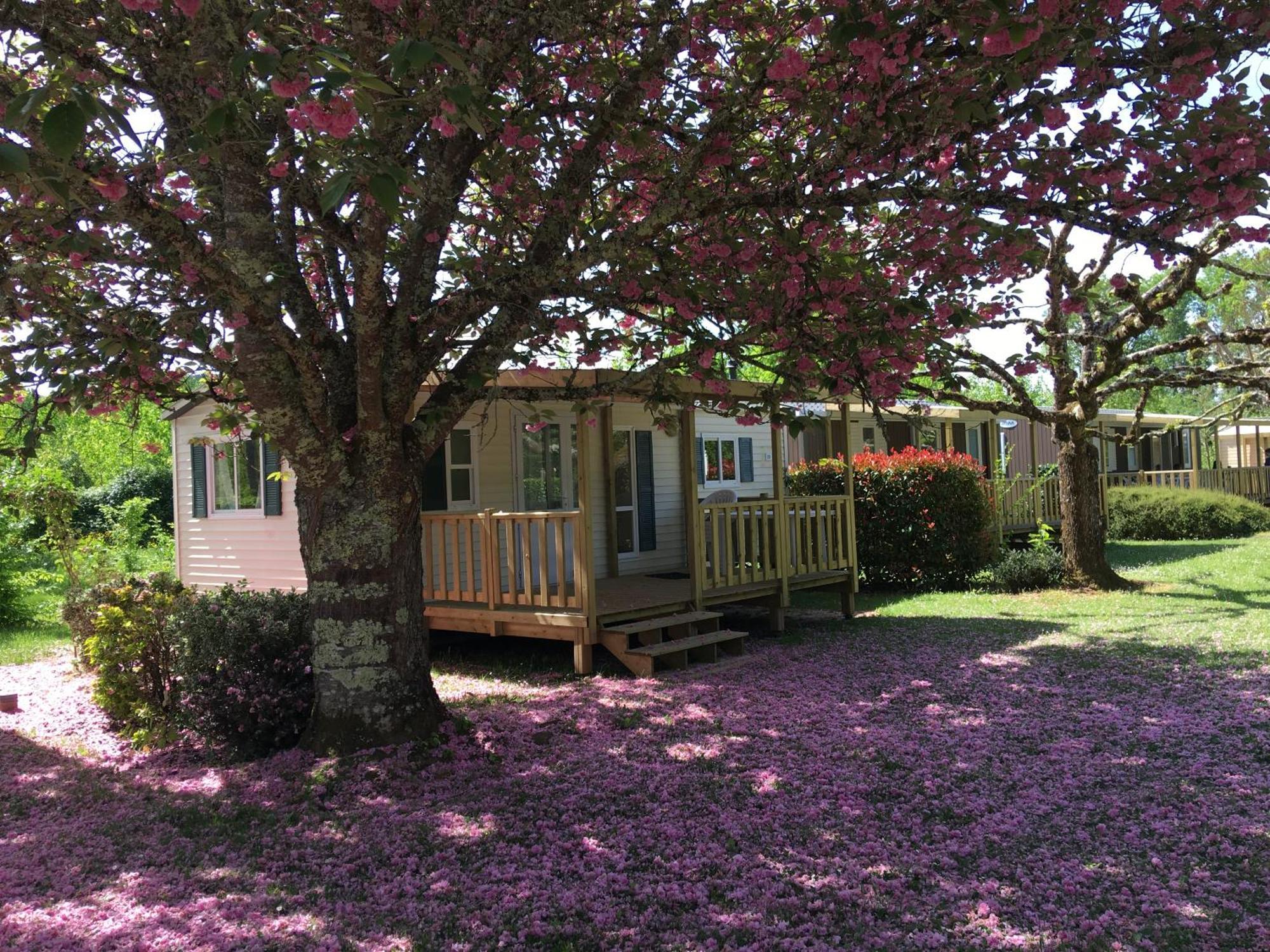 Camping La Ferme De Perdigat Limeuil Exterior photo